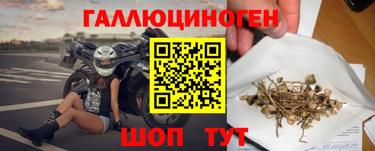 Галлюциногенные грибы Magic Shrooms  Вход с VPN  магазин продажи   Нижнекамск 